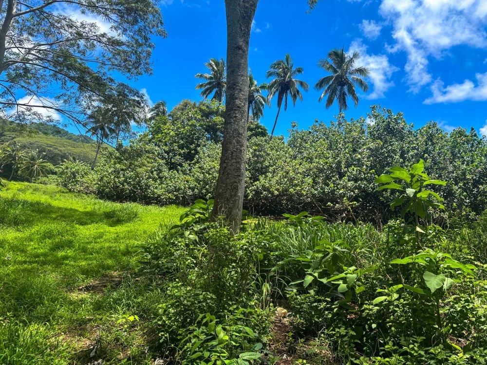 leasehold section for sale rarotonga