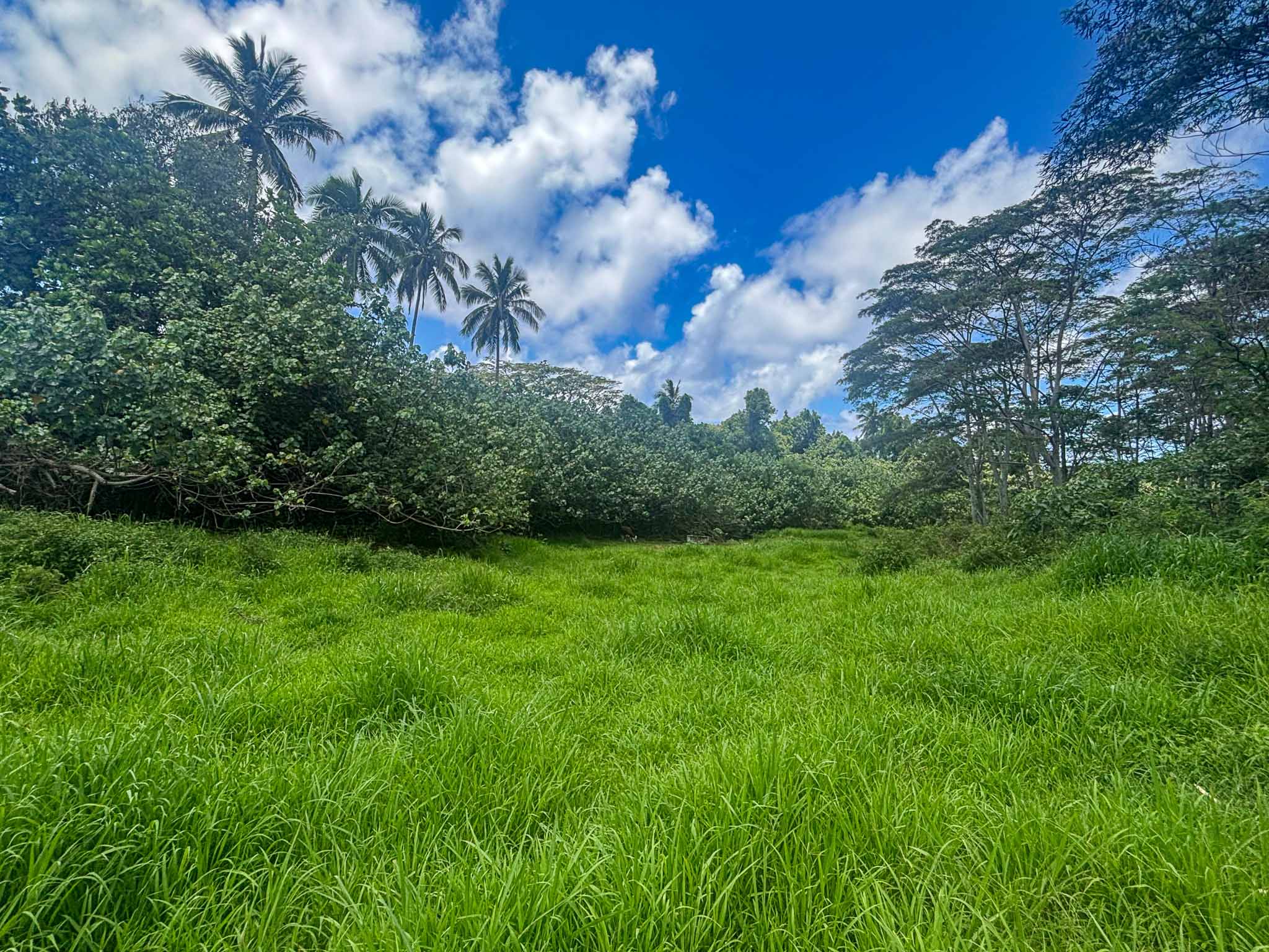 leasehold section for sale rarotonga